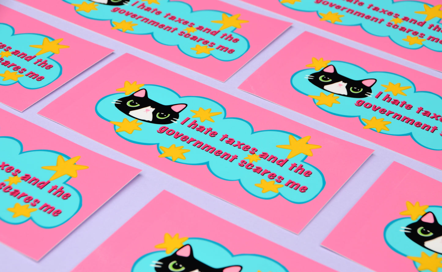 I Hate Taxes Bumper Sticker