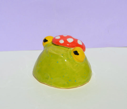 Frog With A Mushroom Hat