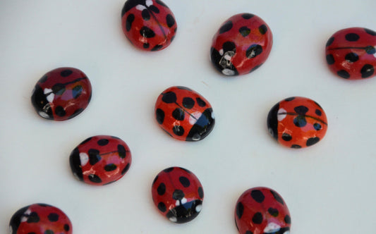 Mini Ladybug Magnet