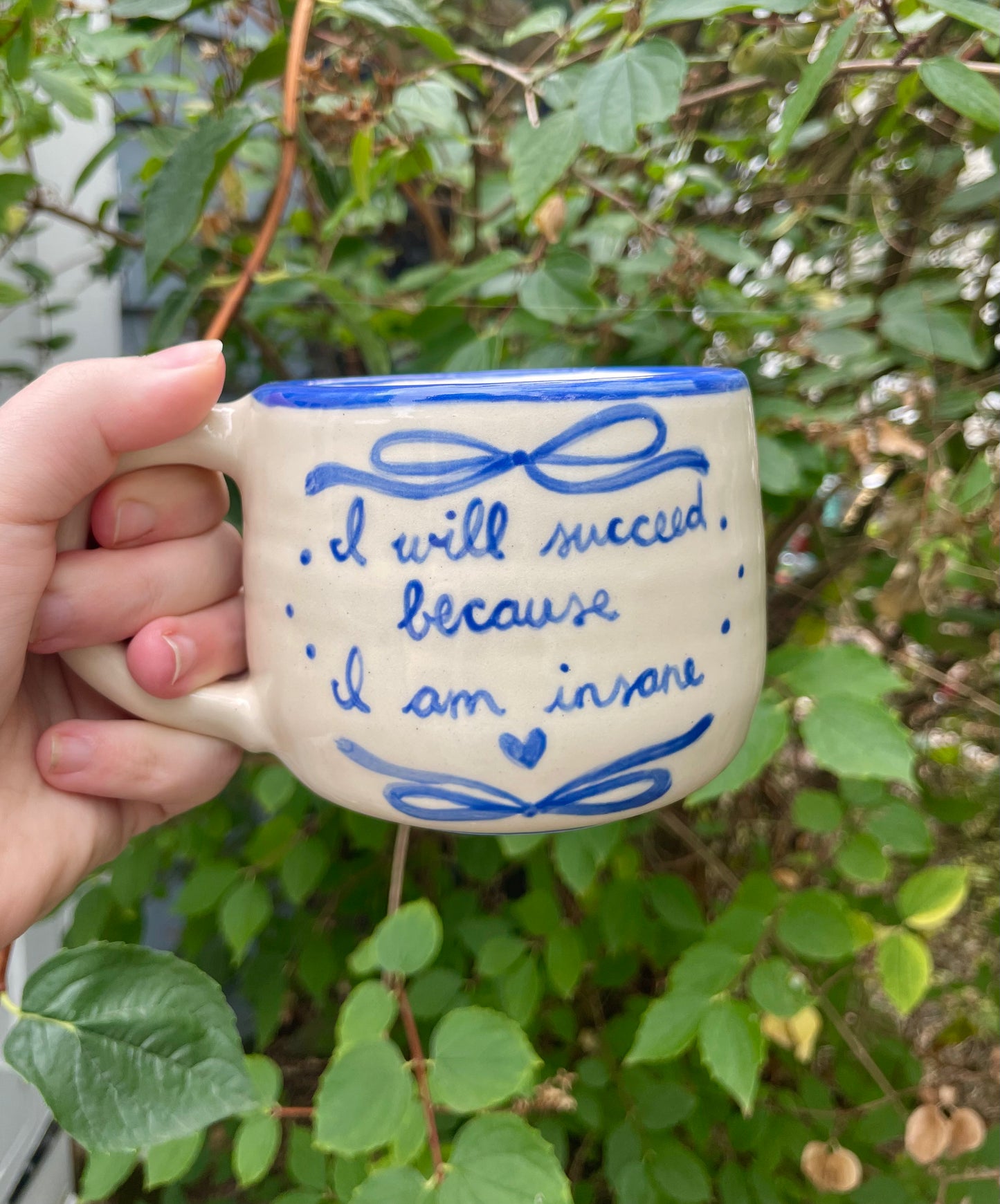 I Will Succeed Because I Am Insane Mug